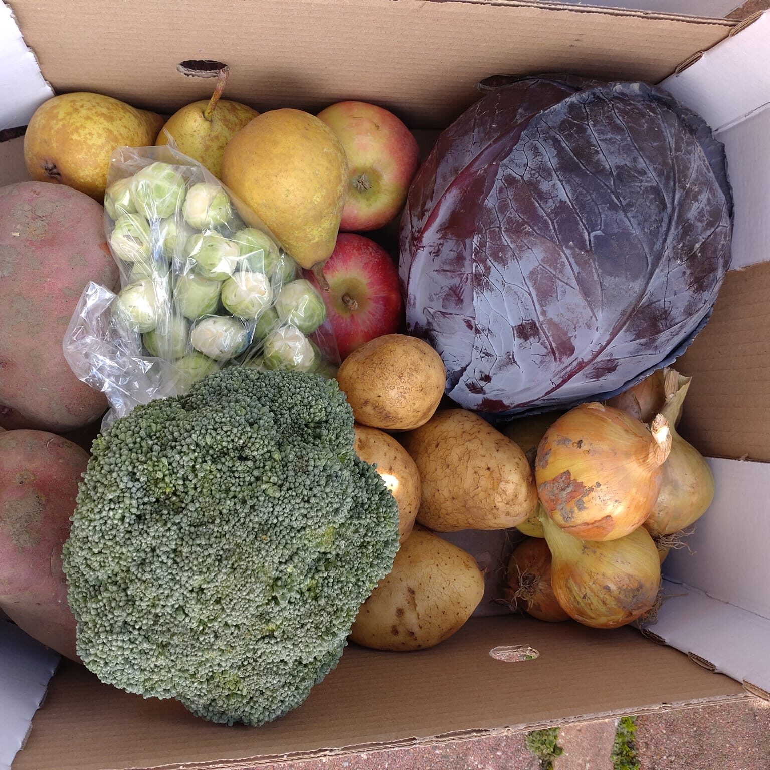 311768675_588447179740462_8476996413649262371_n